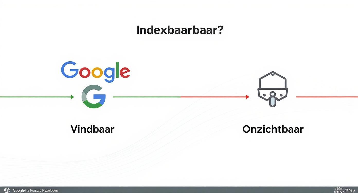 Diagram dat toont wat indexeerbaar is voor Google ('Vindbaar') en wat niet ('Onzichtbaar').