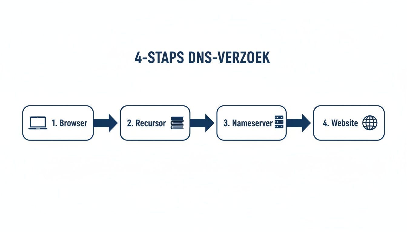Overzicht van het 4-staps DNS-verzoekproces: van browser via recursor en nameserver naar de website.