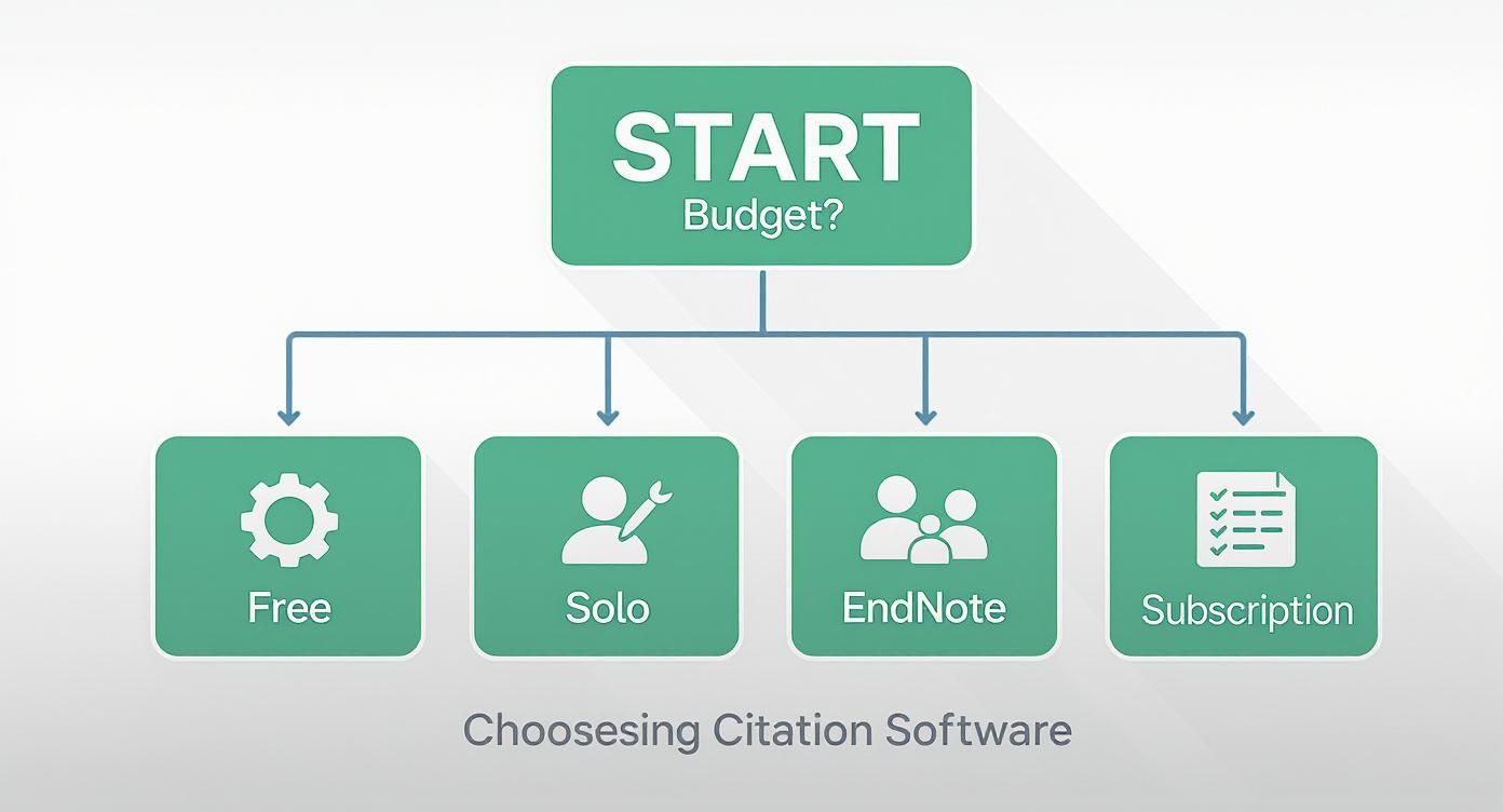 Infographic about citation management software comparison