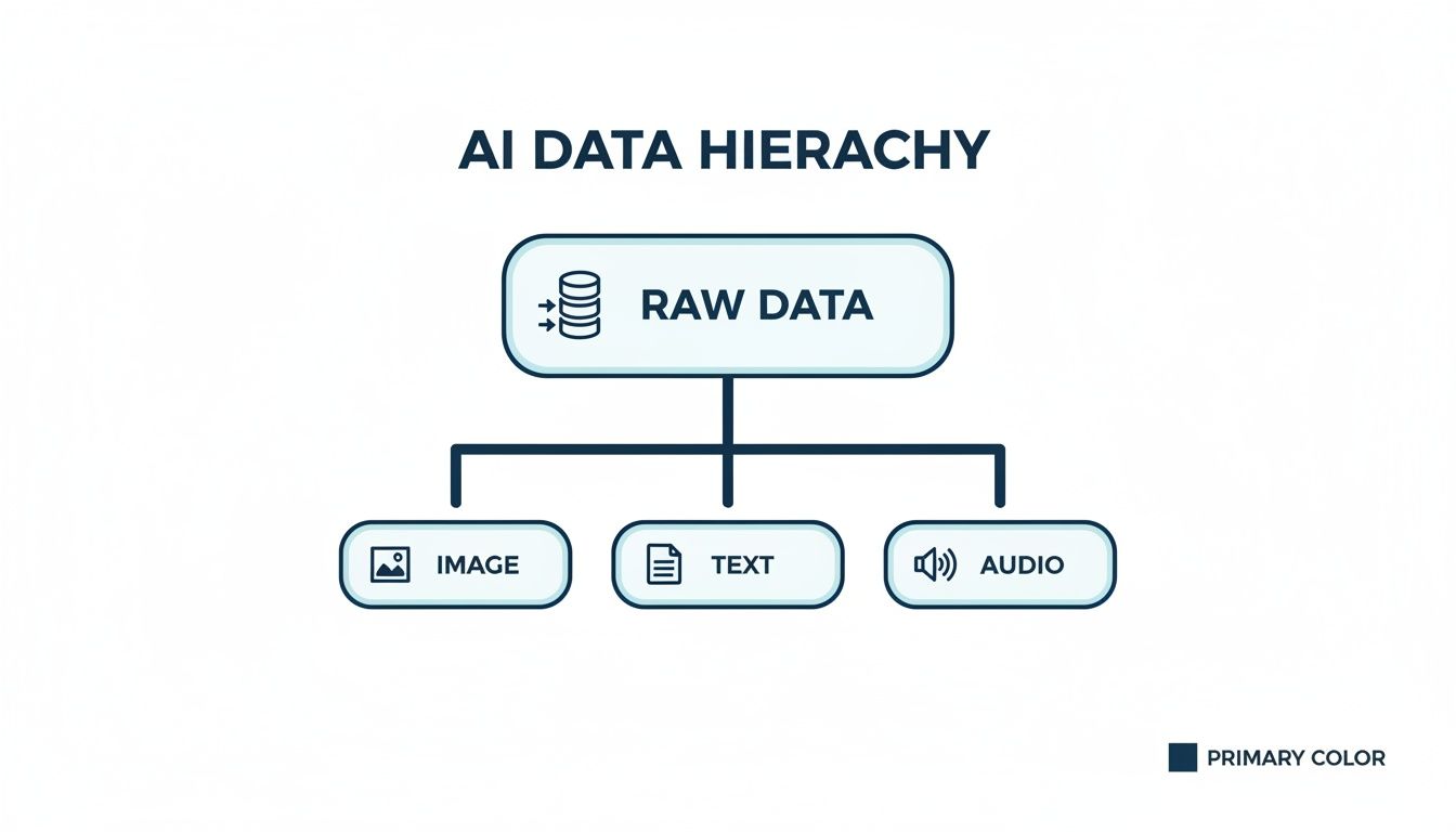 A diagram showing the AI data hierarchy, illustrating raw data branching into image, text, and audio formats.