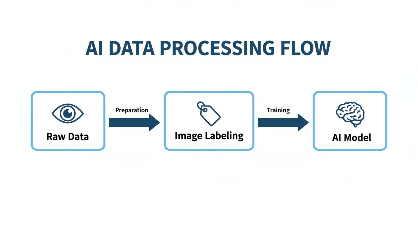 Flowchart illustrating AI data processing: Raw Data, Preparation, Image Labeling, Training, and AI Model.