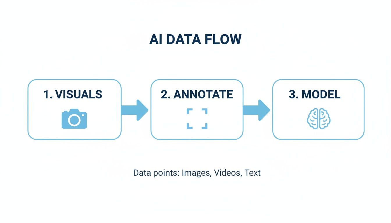 Diagram showing the AI data flow: visuals, annotation, and model creation, utilizing images, videos, and text.