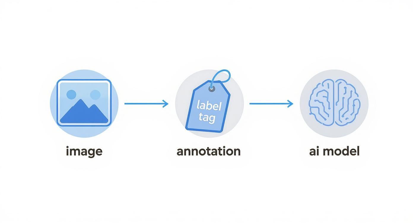 Workflow diagram shows an image becoming an annotated label tag, which then trains an AI model.