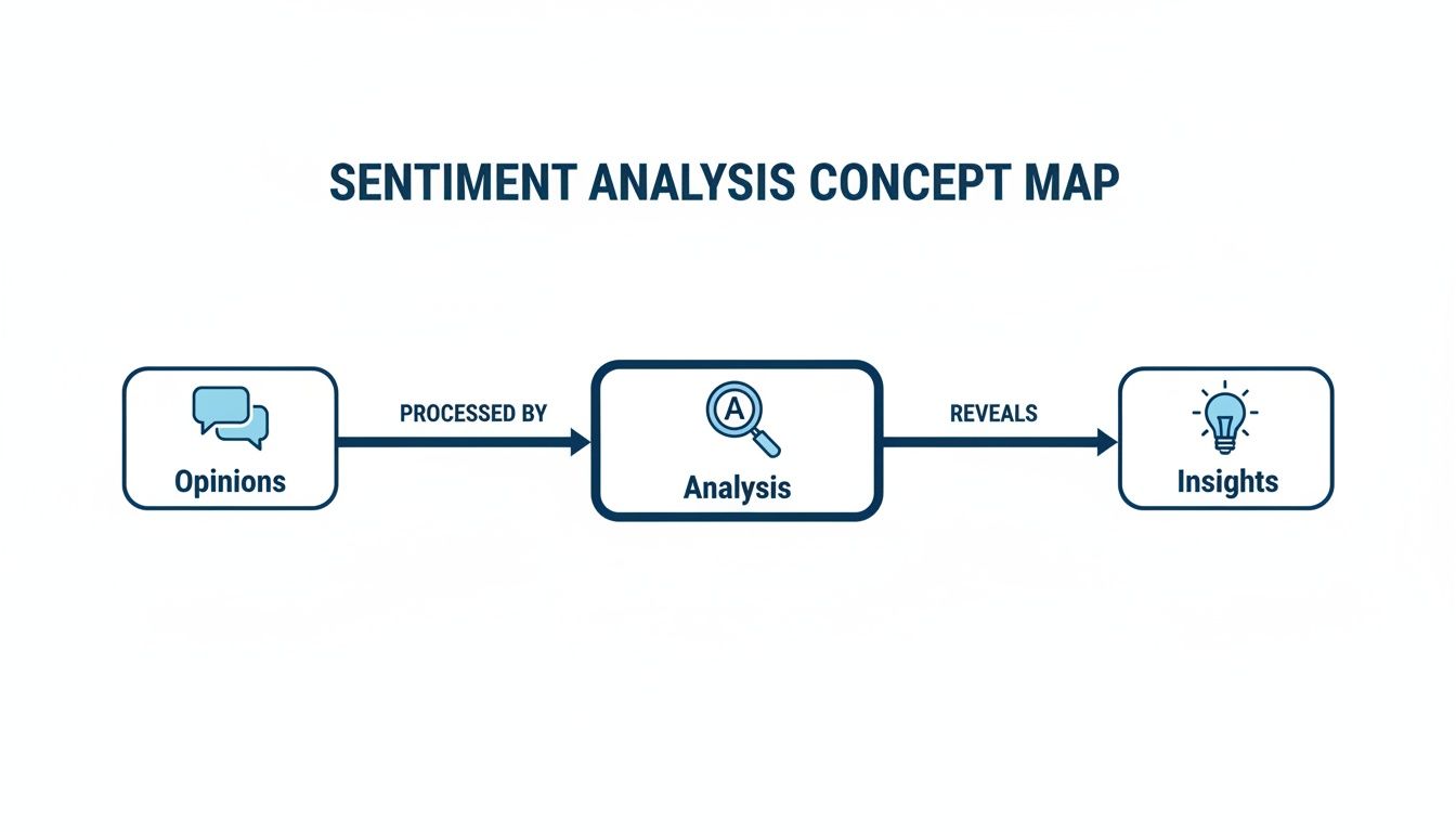 A sentiment analysis concept map showing opinions processed by analysis, revealing insights.