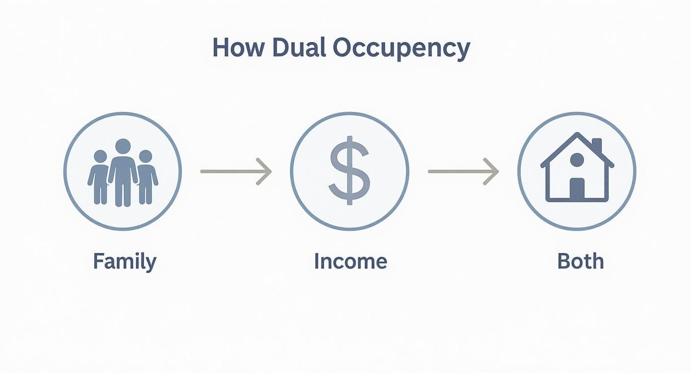 Infographic about dual occupancy home designs