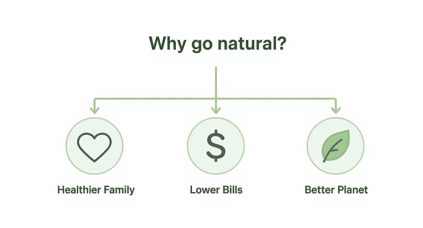 Infographic about natural home solutions