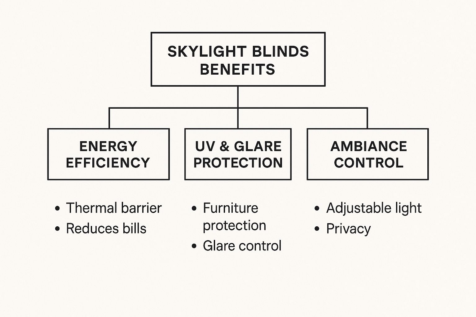 Infographic about skylight blinds and shades