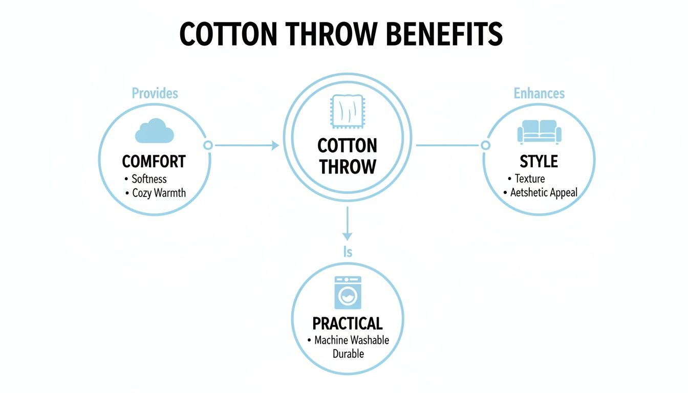 Infographic detailing cotton throw benefits: comfort (softness, warmth), style (texture, appeal), and practicality (washable, durable).