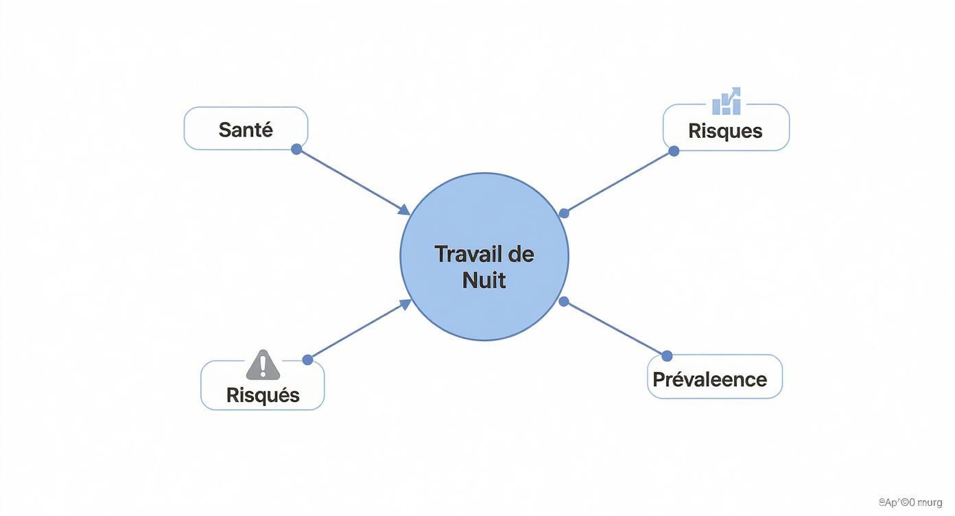 Infographie illustrant les connexions entre le travail de nuit, la santé, les risques et sa prévalence