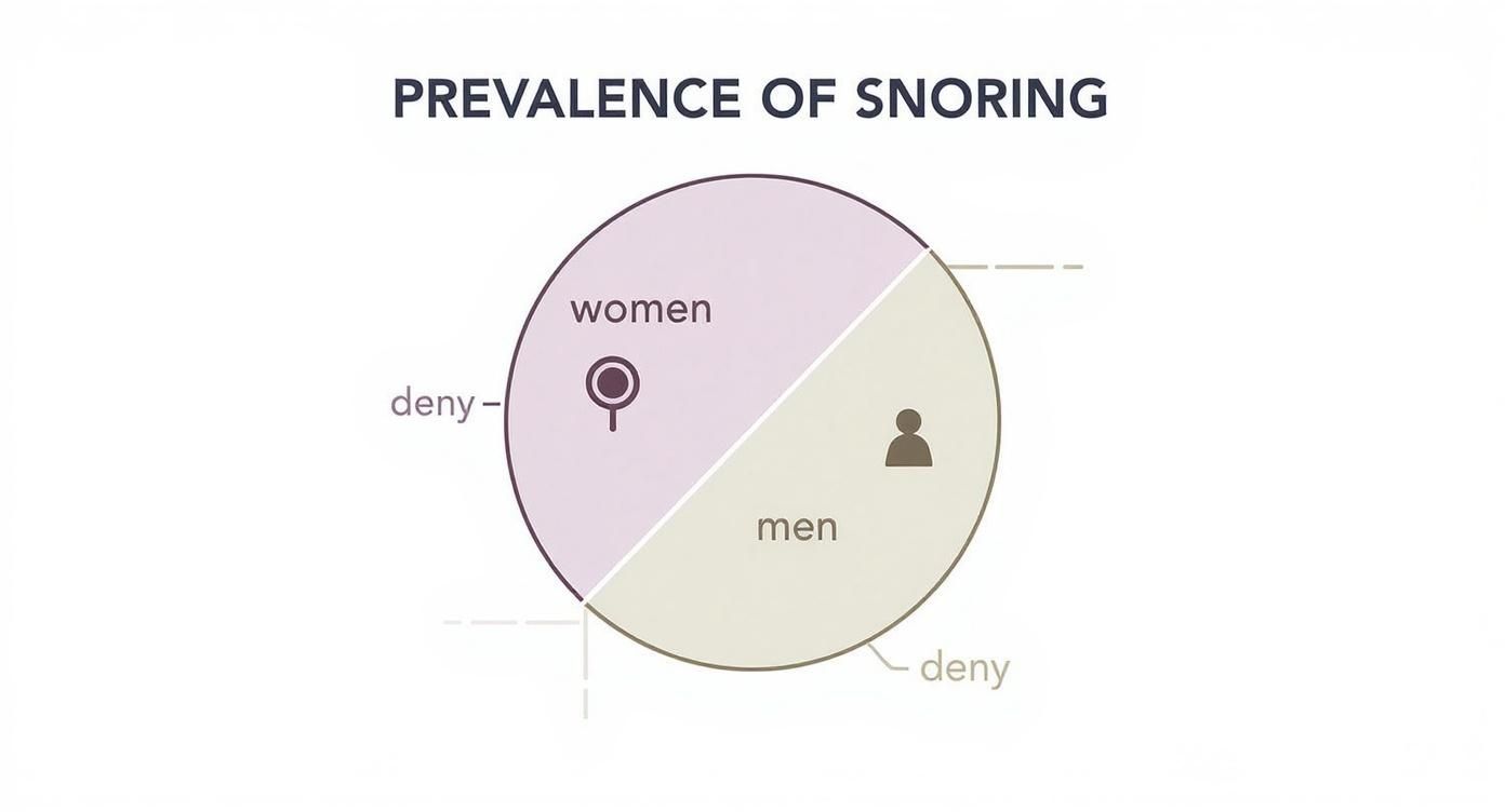 Infographic about que faire contre les ronflements
