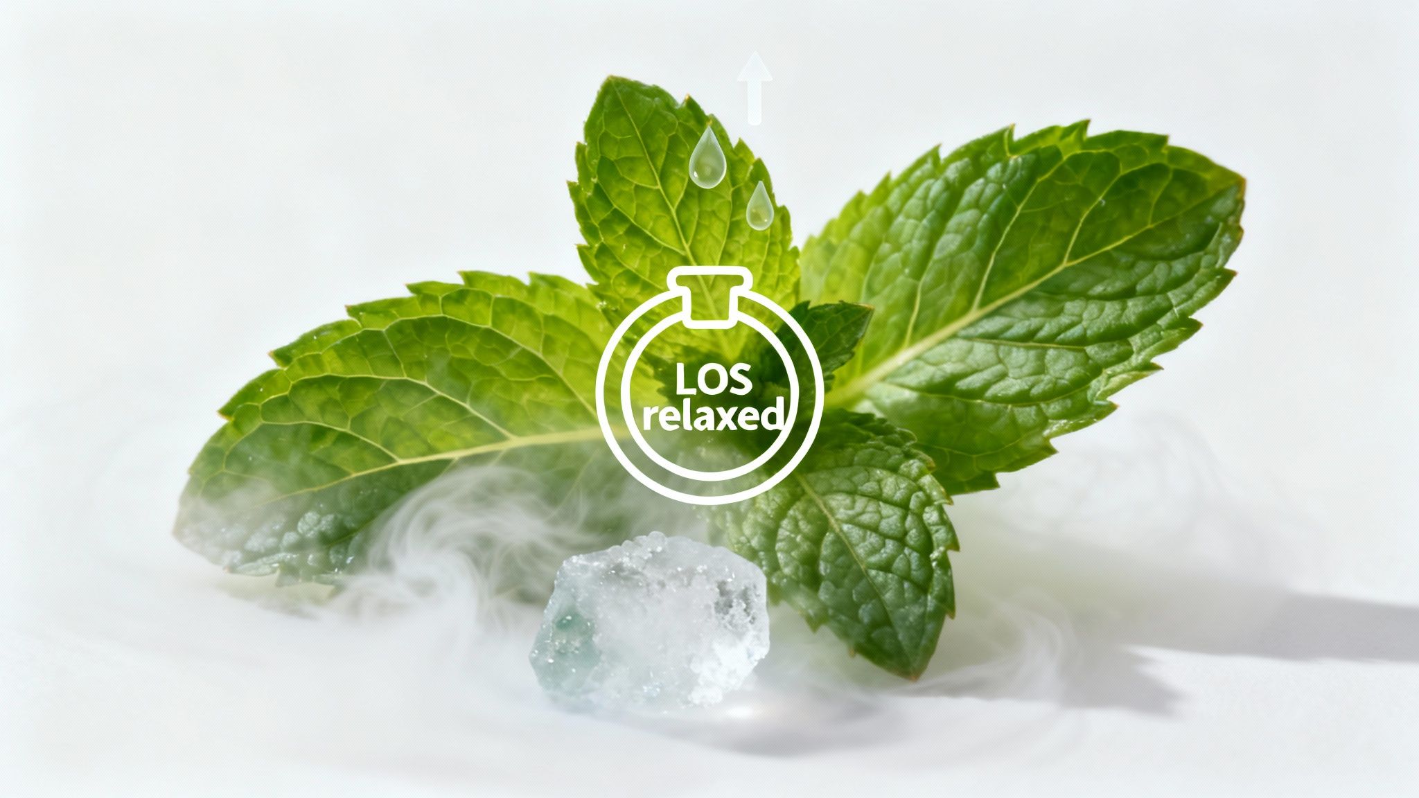 Fresh mint leaves, an ice cube, and vapor on a white background with a 'LOS relaxed' icon.