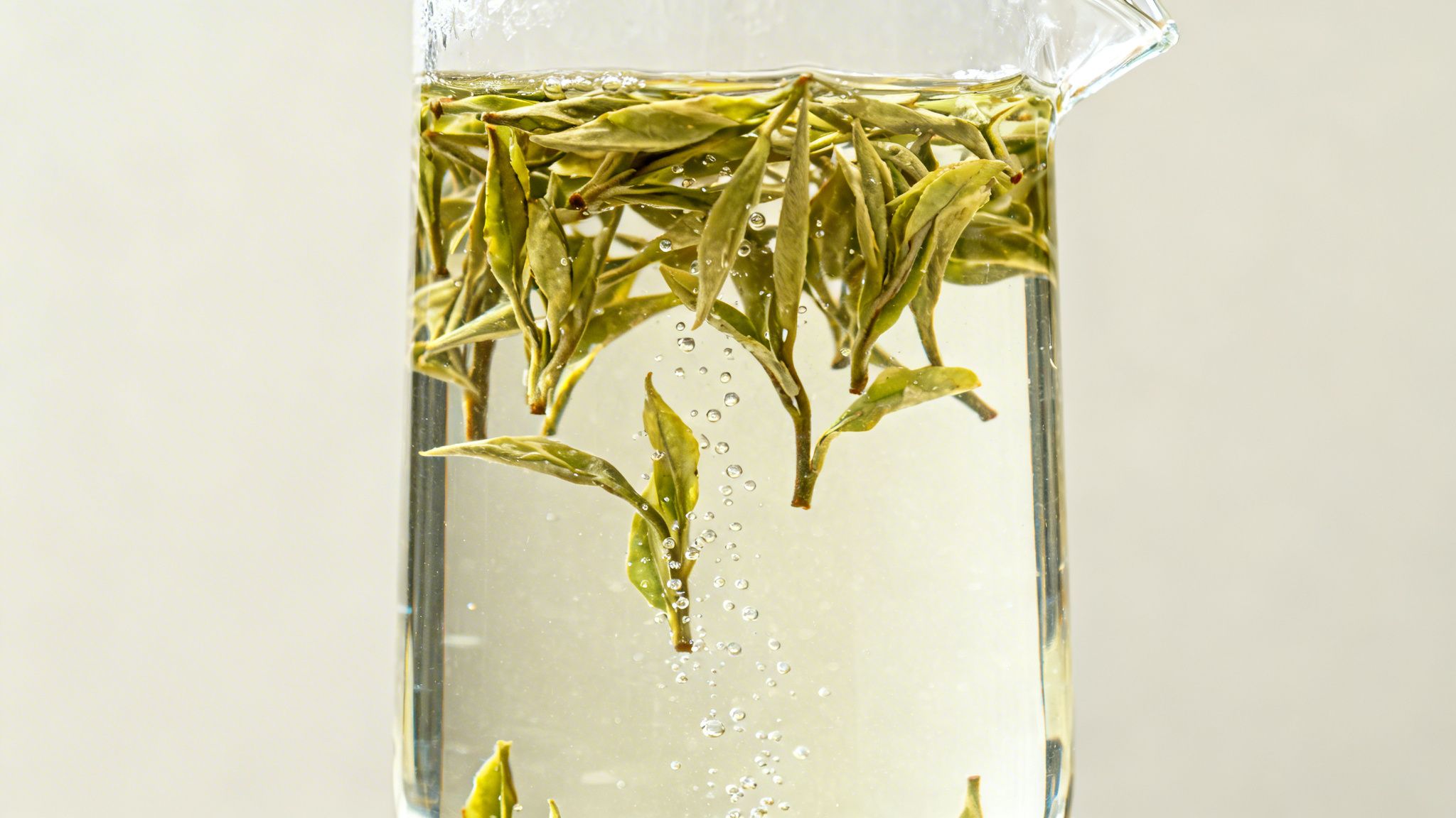Close-up of vibrant green tea leaves steeping in clear water within a glass beaker, with rising bubbles.