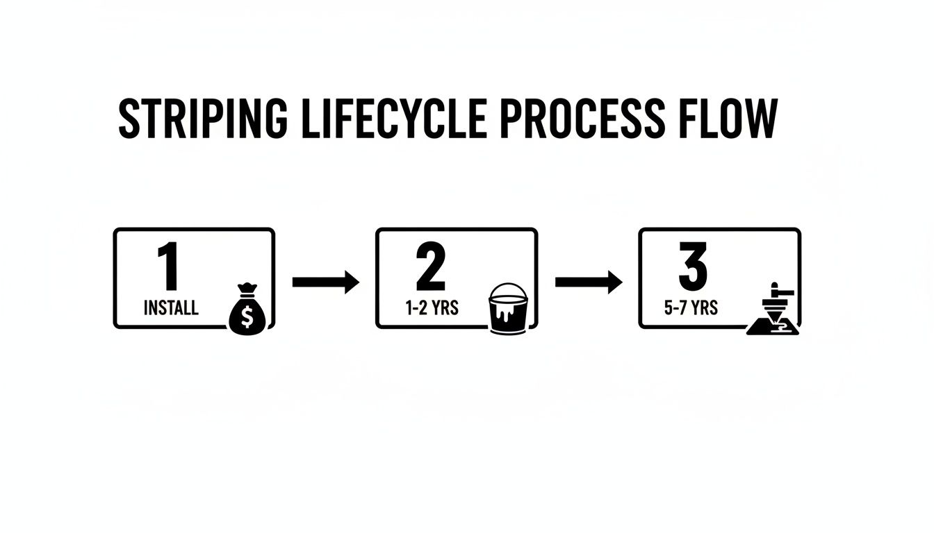 Striping lifecycle process flow diagram illustrating installation, 1-2 year repainting, and 5-7 year stages.