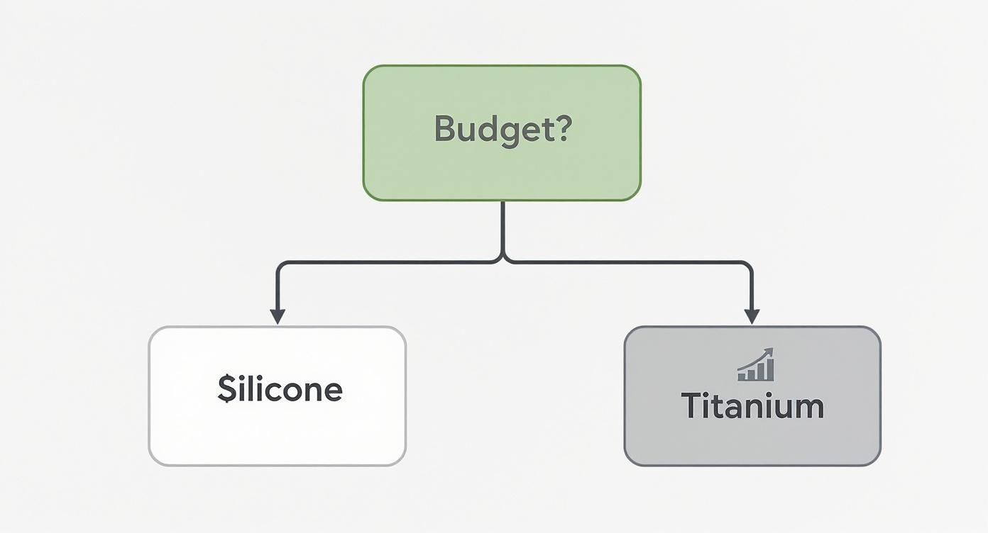 Flowchart showing a budget decision between Silicone with a dollar sign and Titanium with an upward trend icon.