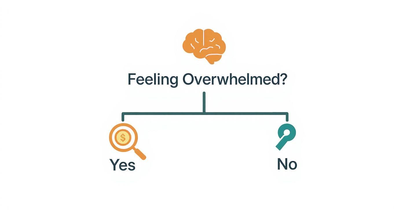 Flowchart asks 'Feeling Overwhelmed?' branching to 'Yes' with a dollar magnifying glass and 'No' with a key.