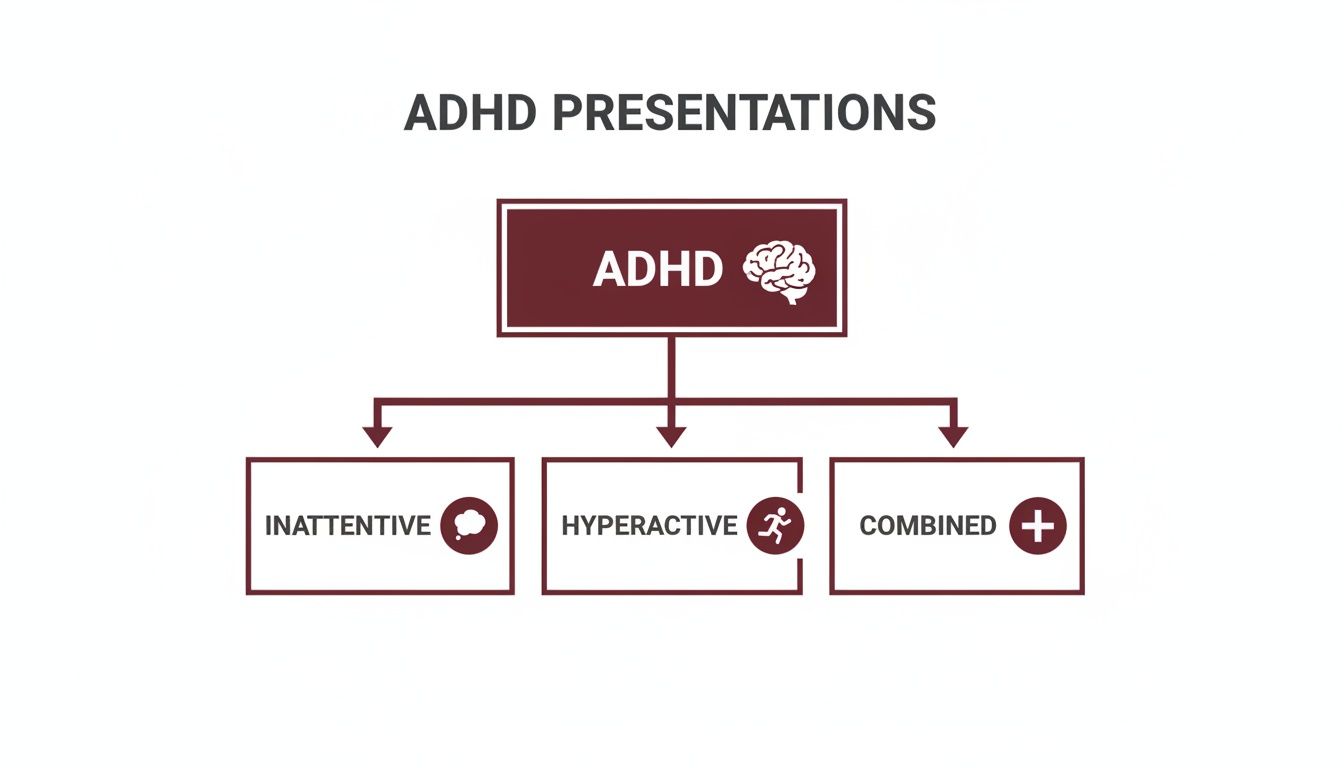 Flowchart illustrating the three main presentations of ADHD: inattentive, hyperactive, and combined types.