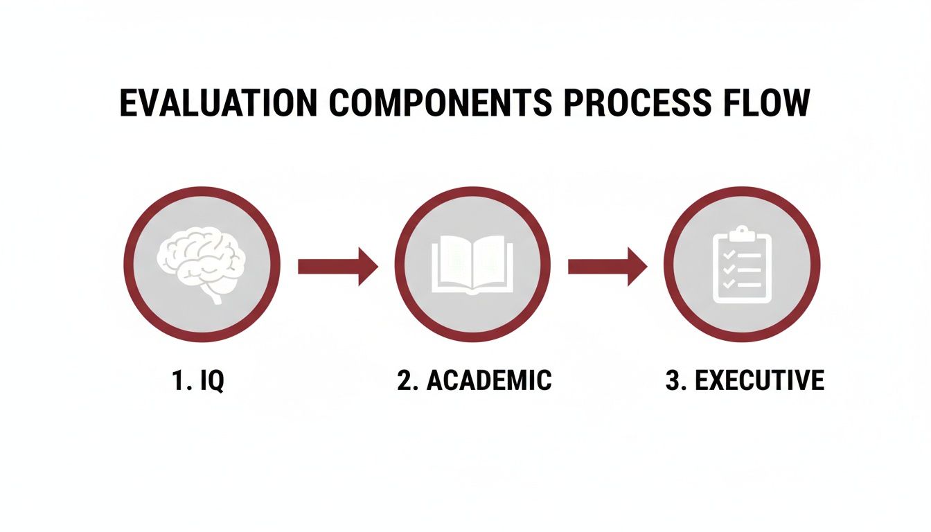 Process flow diagram illustrating key evaluation components: IQ, Academic, and Executive functions.
