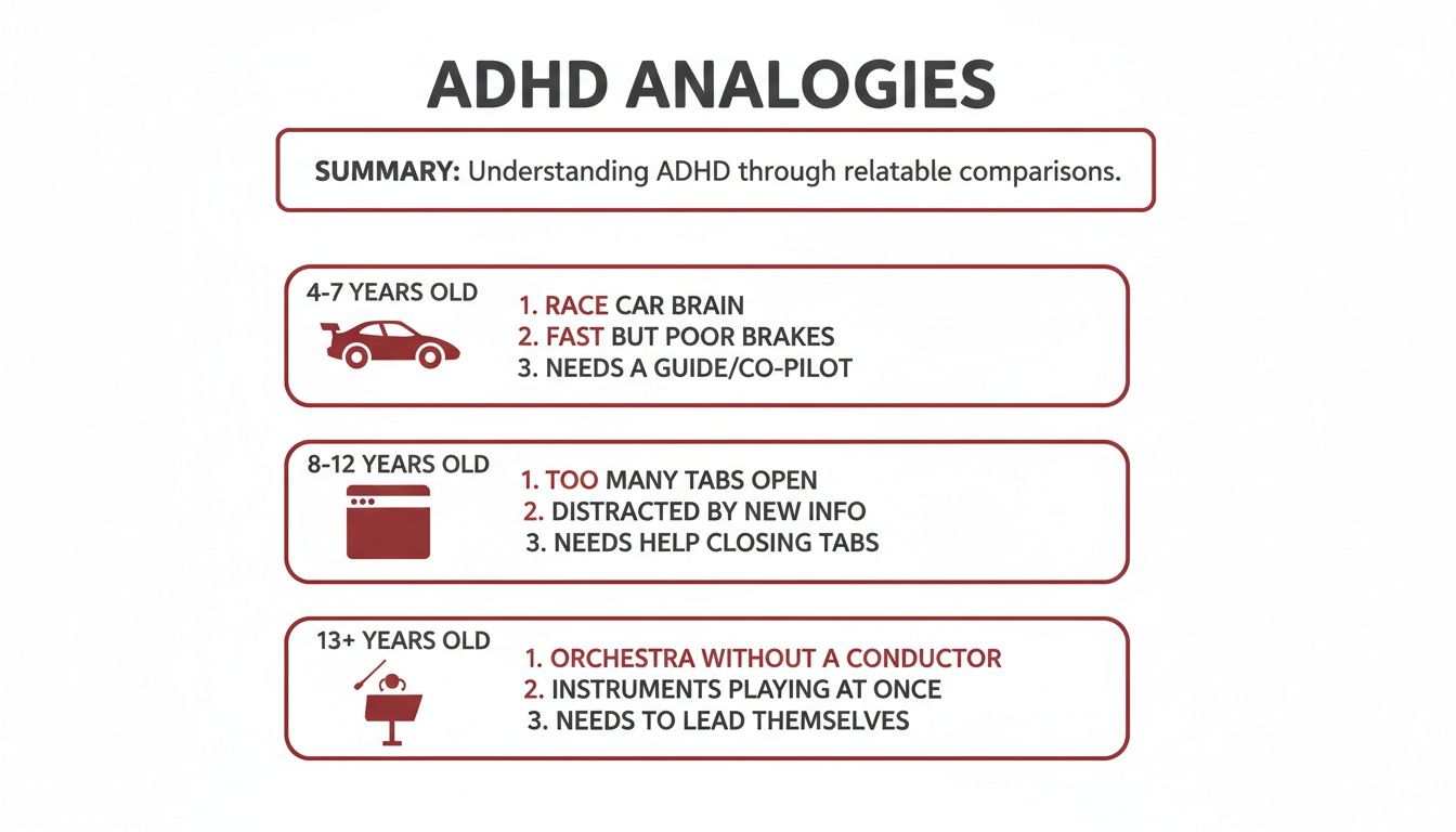 Infographic: ADHD analogies for different age groups, comparing it to a race car, browser tabs, and an orchestra.