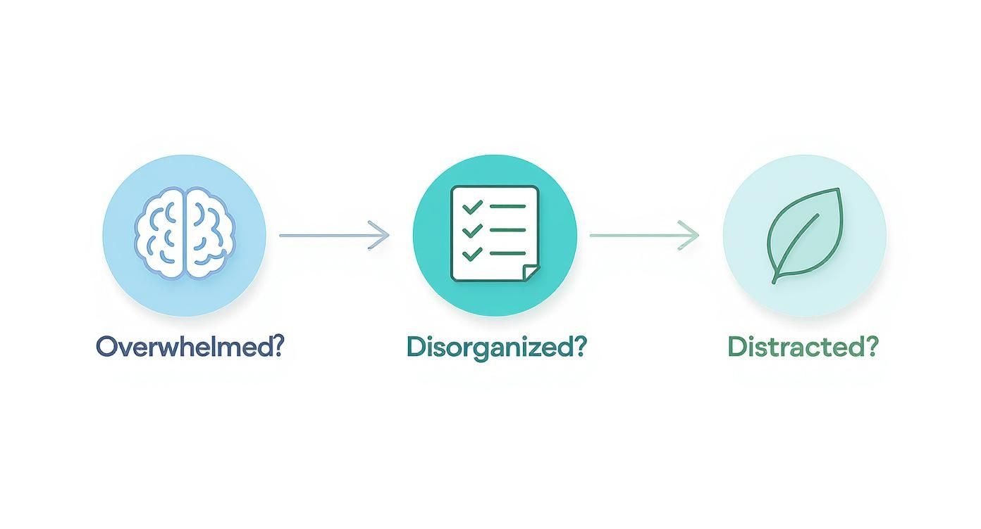 An infographic depicting common productivity issues: overwhelmed brain, disorganized checklist, and distracted by a leaf.