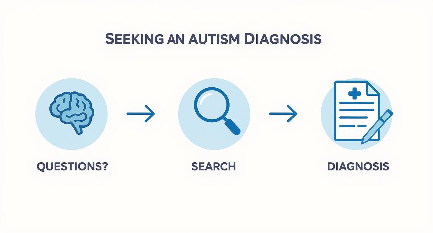 Infographic about online autism diagnosis adults