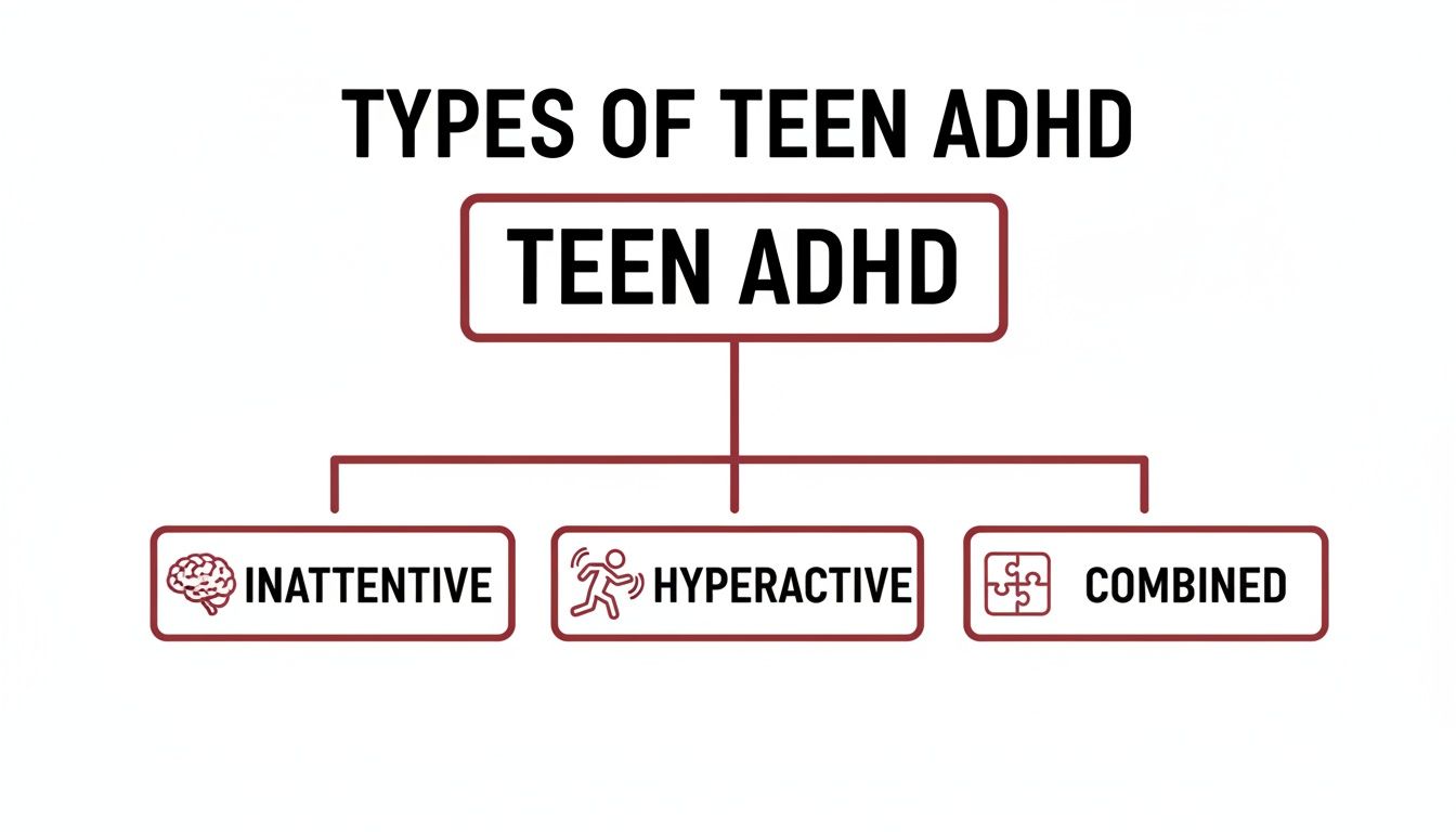 A diagram illustrating the three types of Teen ADHD: Inattentive, Hyperactive, and Combined.