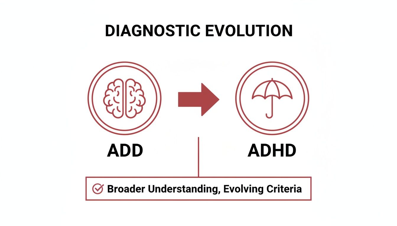 Diagnostic evolution from ADD (brain icon) to ADHD (umbrella), indicating broader understanding and evolving criteria.