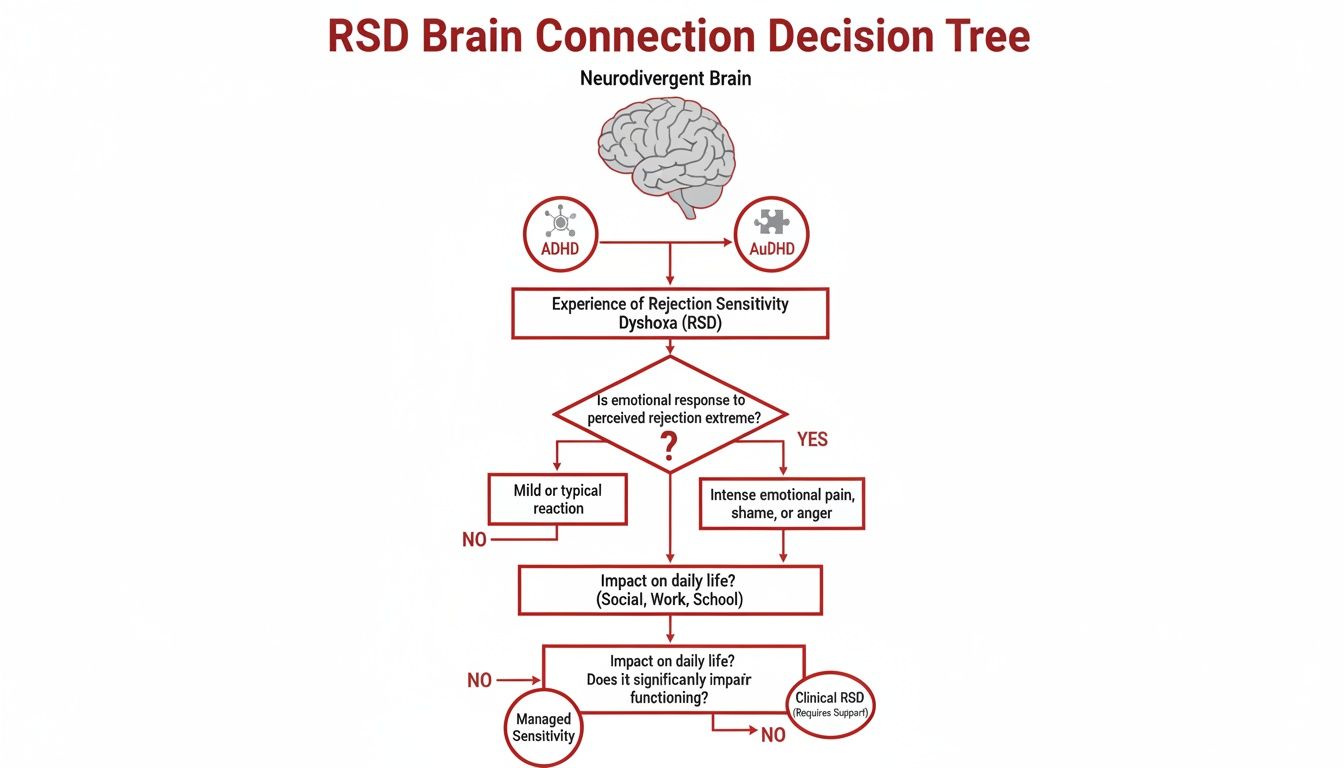 Decision tree explaining Rejection Sensitivity Dysphoria (RSD) in neurodivergent brains (ADHD, AuDHD), reactions, and impact on daily life.