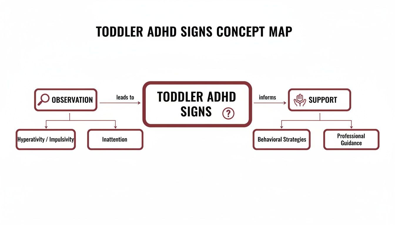 Concept map illustrating toddler ADHD signs, from observation of hyperactivity and inattention to support strategies.