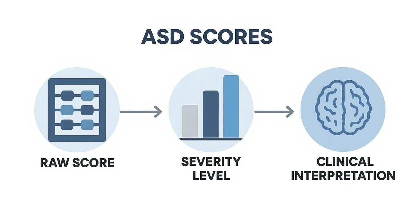 Flowchart illustrating the process from raw ASD scores to severity levels and clinical interpretation.