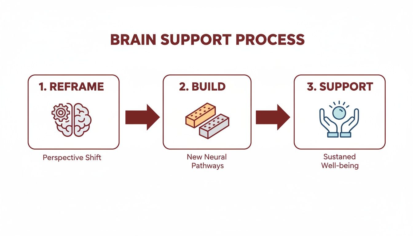 Infographic illustrating the three-step brain support process: Reframe, Build, and Support for well-being.