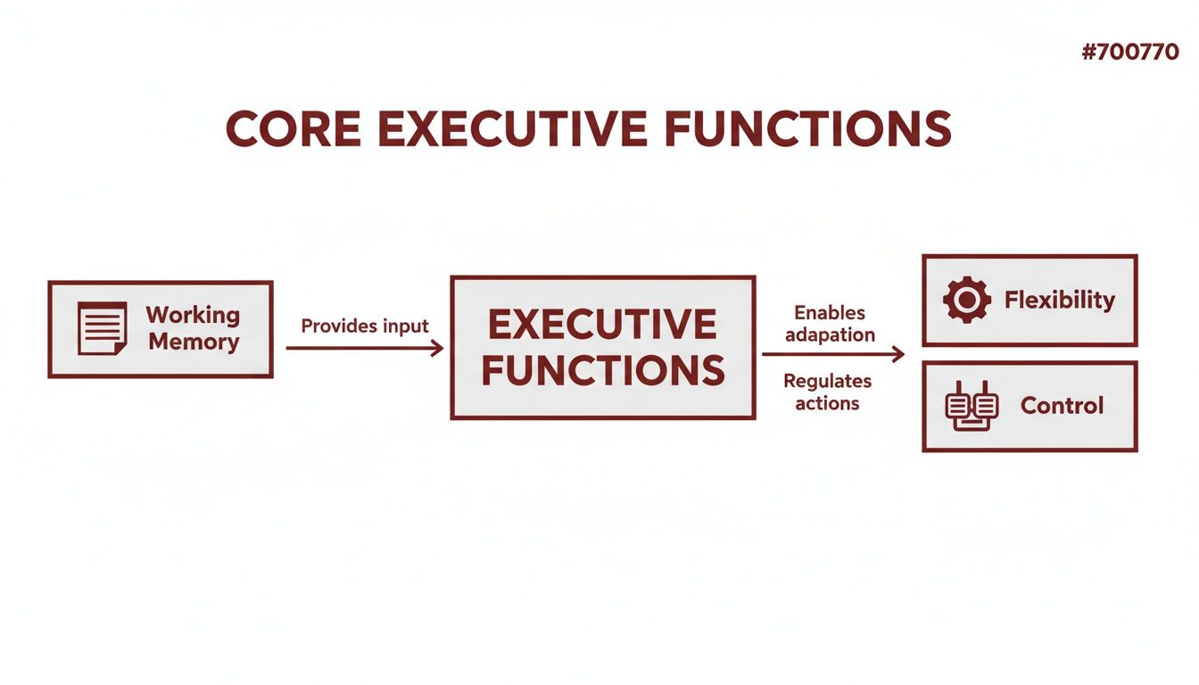 A diagram illustrating core executive functions, linking working memory to executive functions, flexibility, and control.