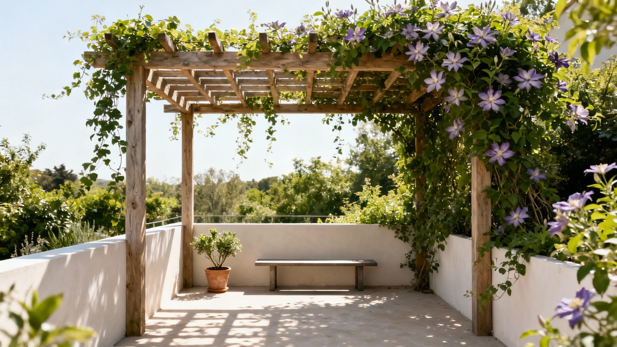 En solrig træpergola dækket af lilla clematis over en hvid terrasse med bænk og potteplante.