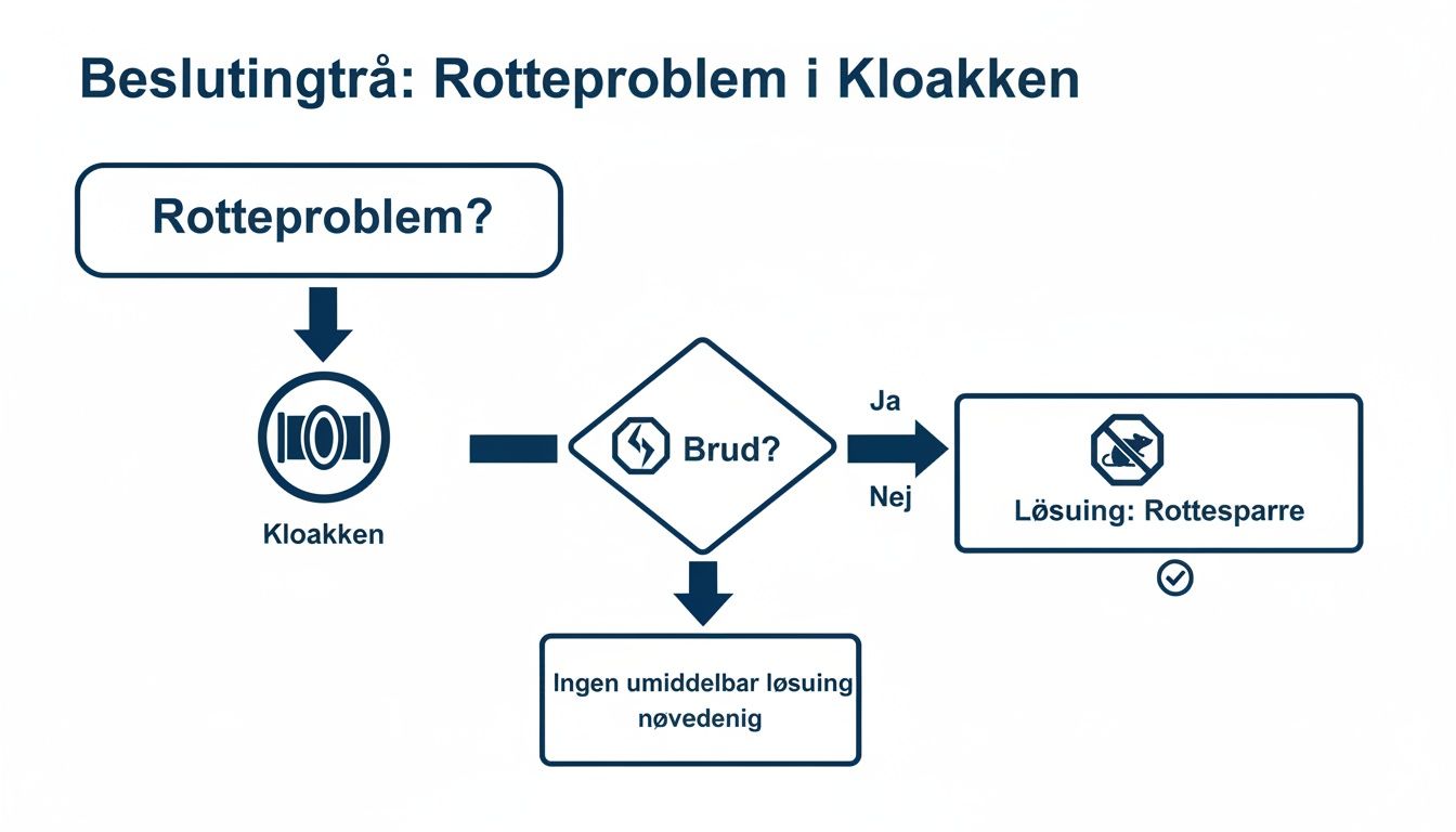 Et beslutningstræ viser håndtering af rotteproblemer i kloakken, inklusiv løsninger som rottesparre.