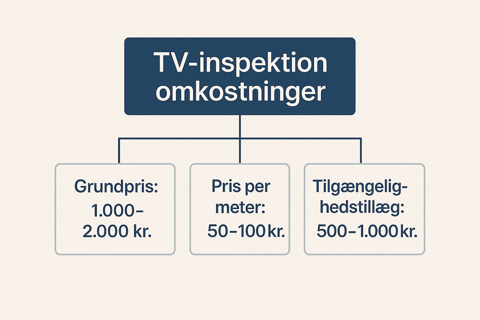 Infographic about Hvad koster TV-inspektion af kloak?