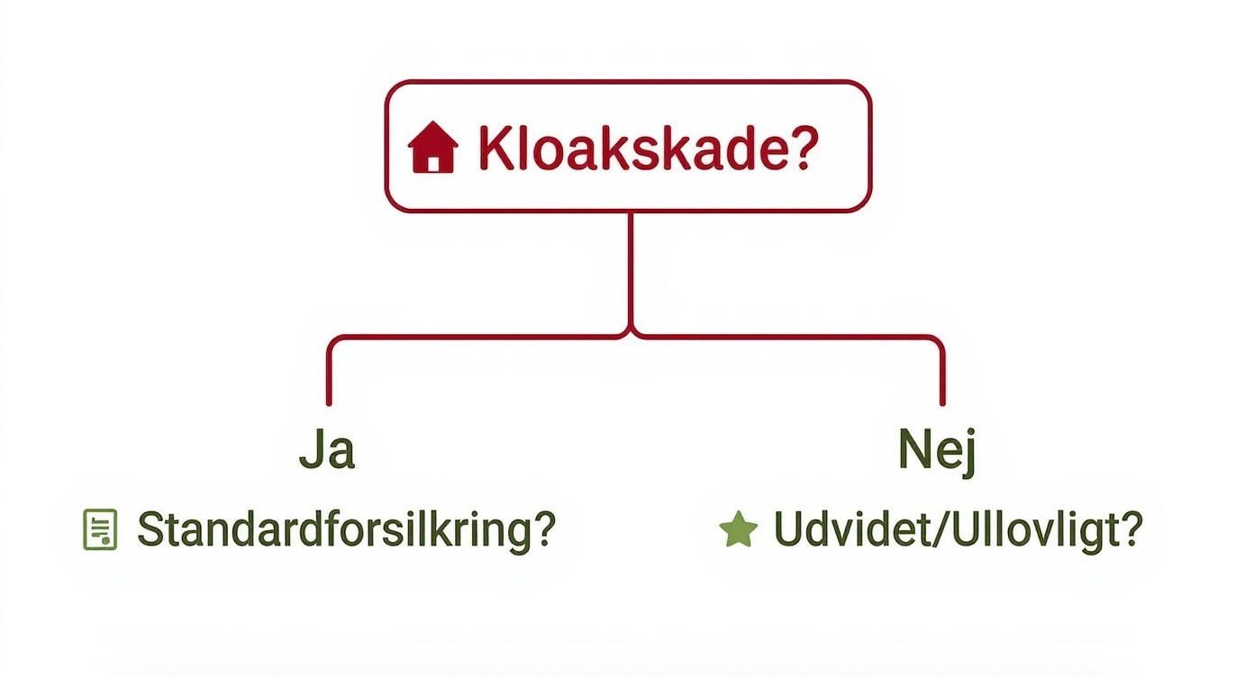 Infographic about Er kloakskader dækket af ejerskifteforsikring?