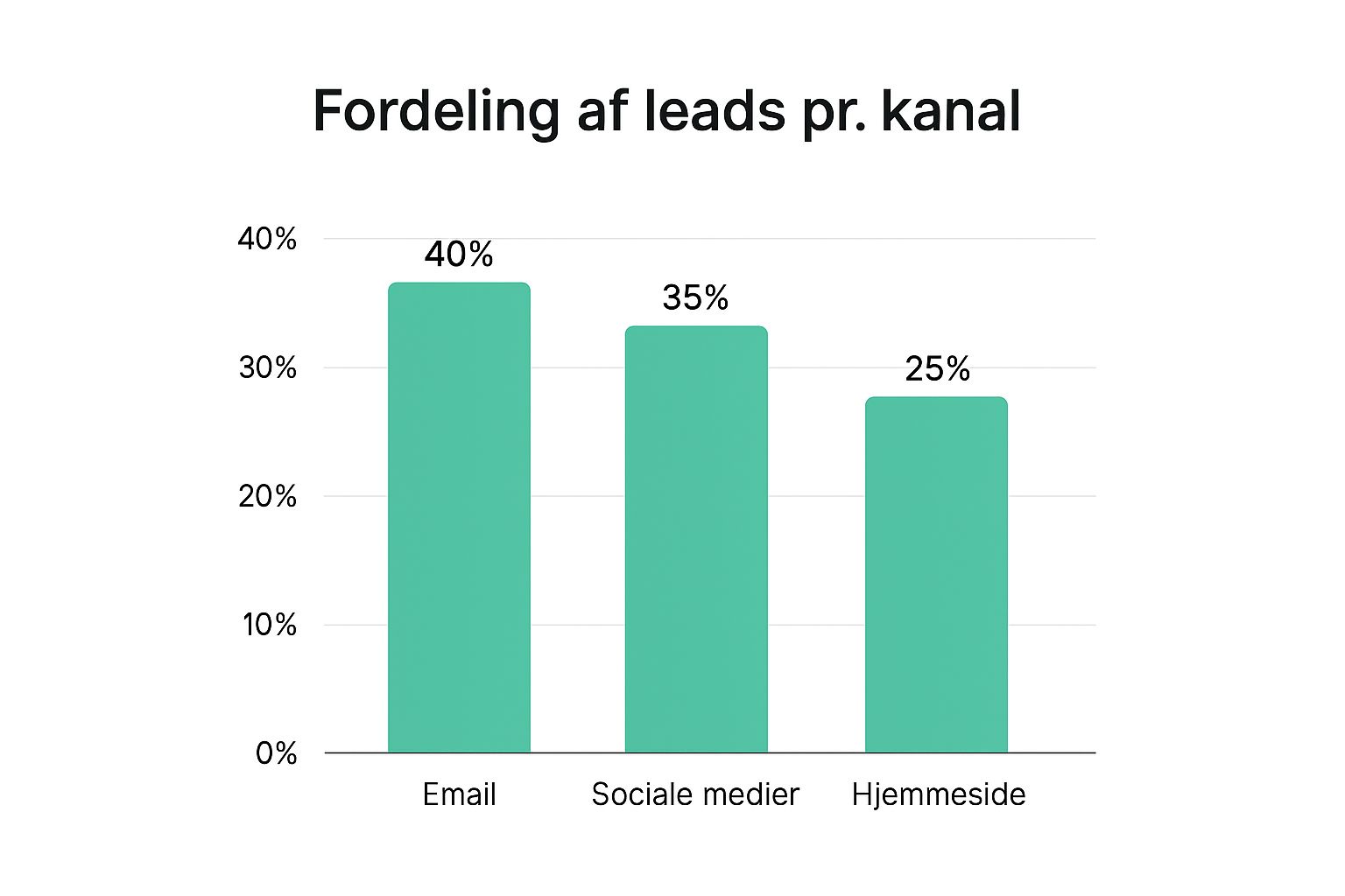 Infographic about hvad er leads