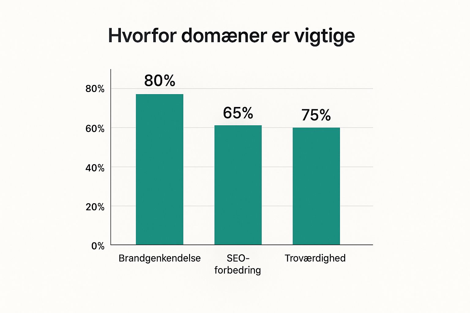 Infographic about hvad er domæne