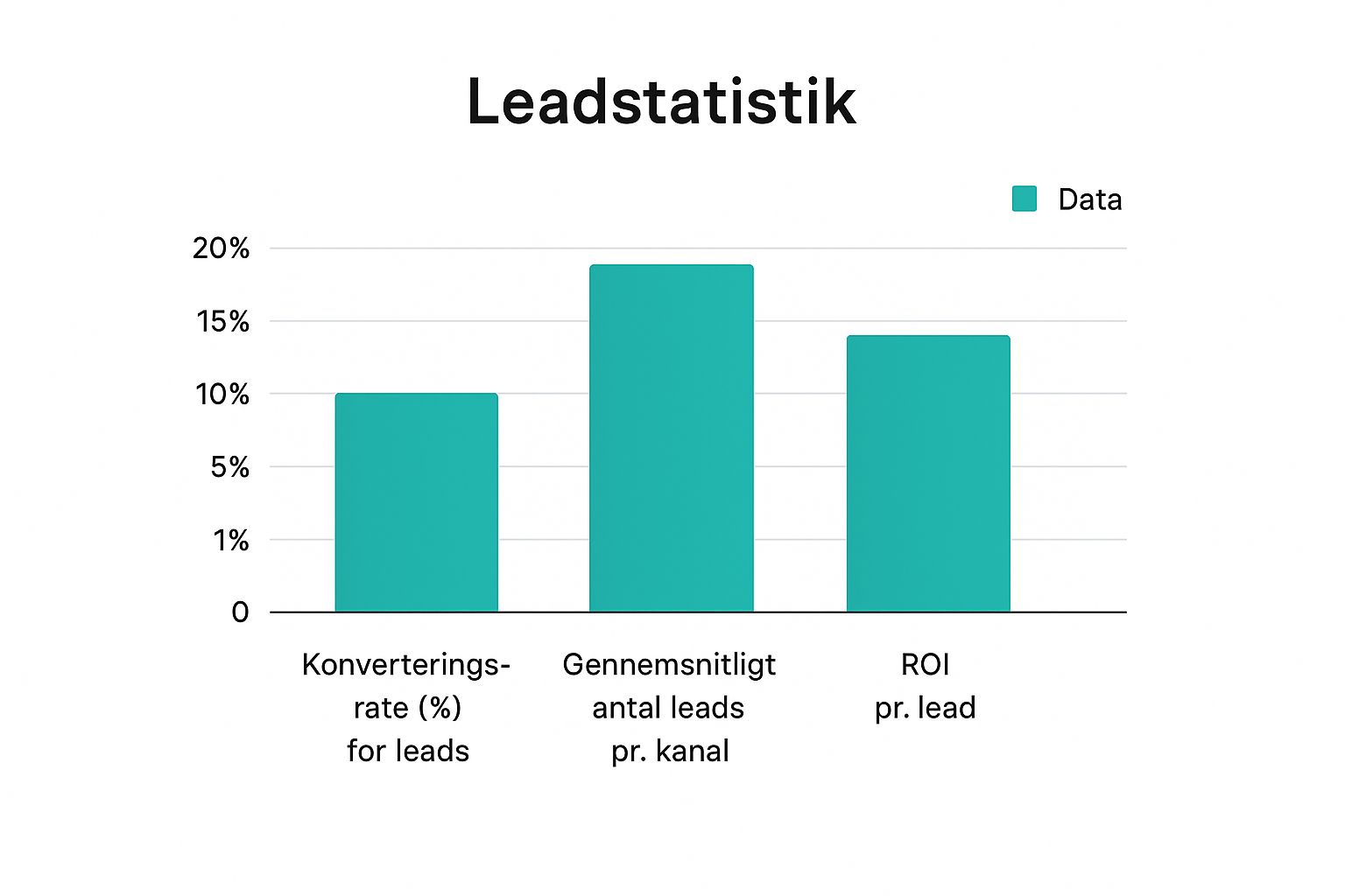 Infographic about hvad er et lead