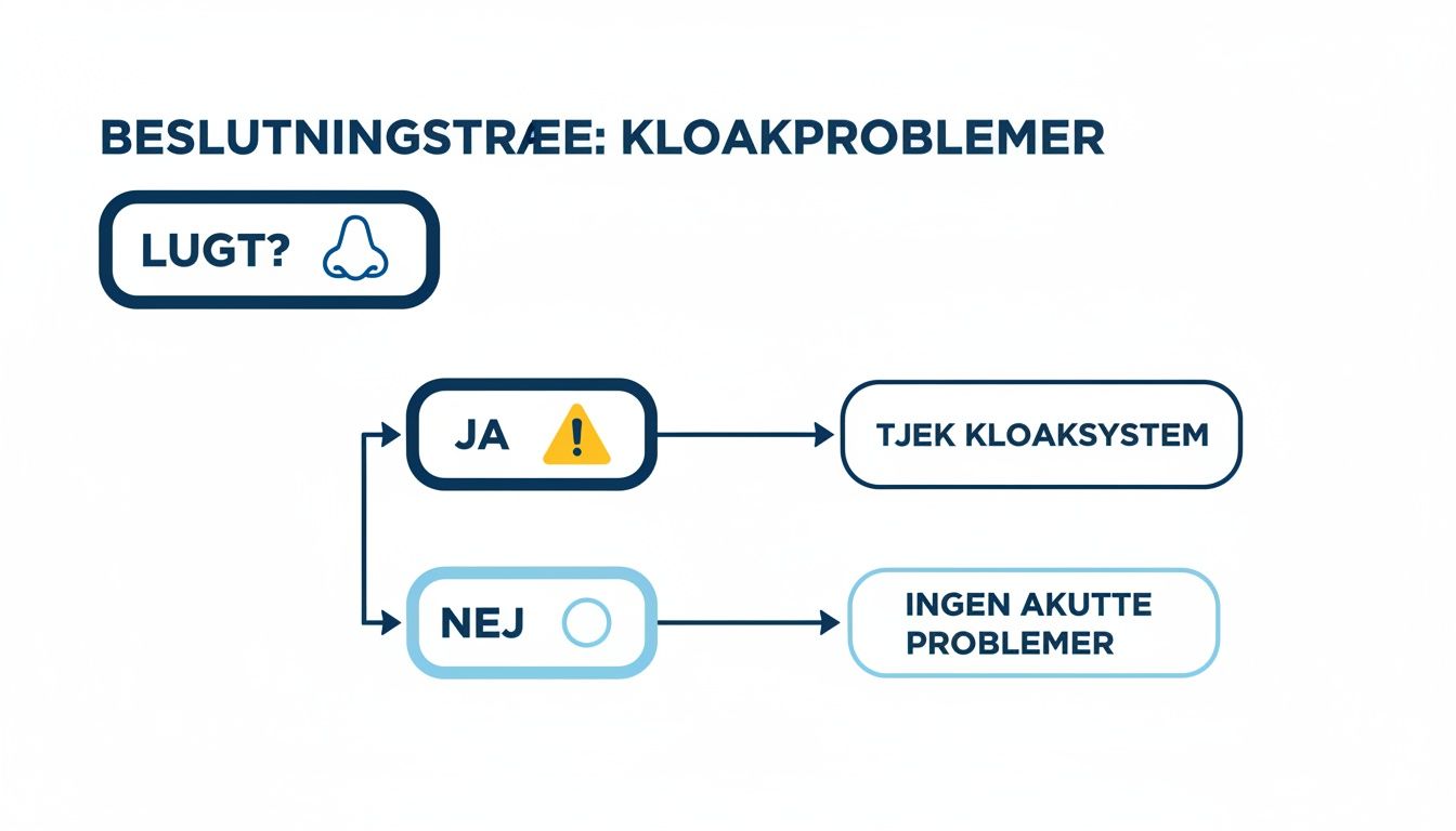 Et beslutningstræ illustrerer, hvordan man håndterer kloakproblemer baseret på tilstedeværelsen af lugt.