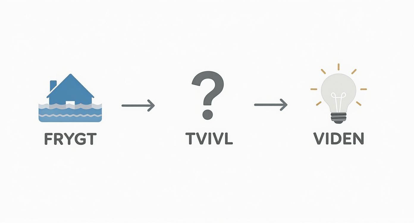 Infographic about og virker den?