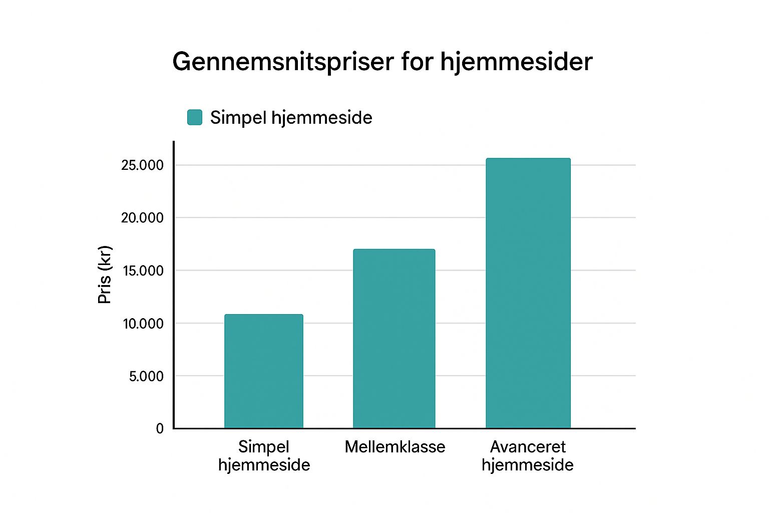 Infographic about hvad koster en hjemmeside