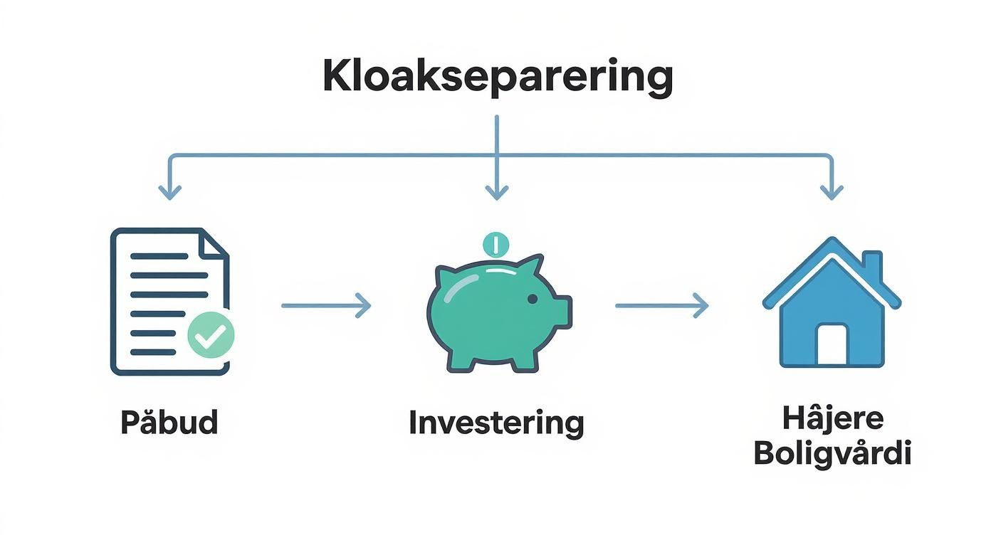 Infographic about Hvad betyder kloakseparering for din boligværdi?