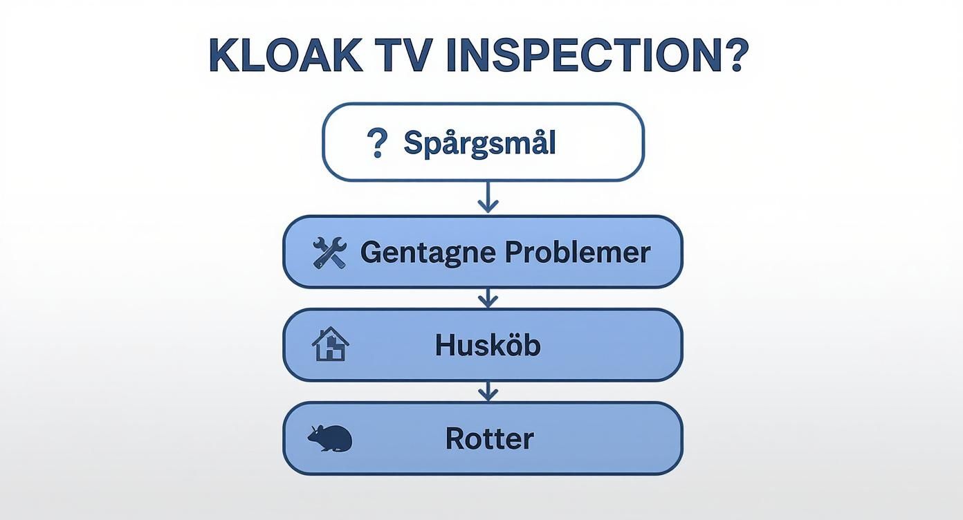 Flowchart over årsager til kloak TV inspektion, inklusive spørgsmål, gentagne problemer, huskøb og rotter.