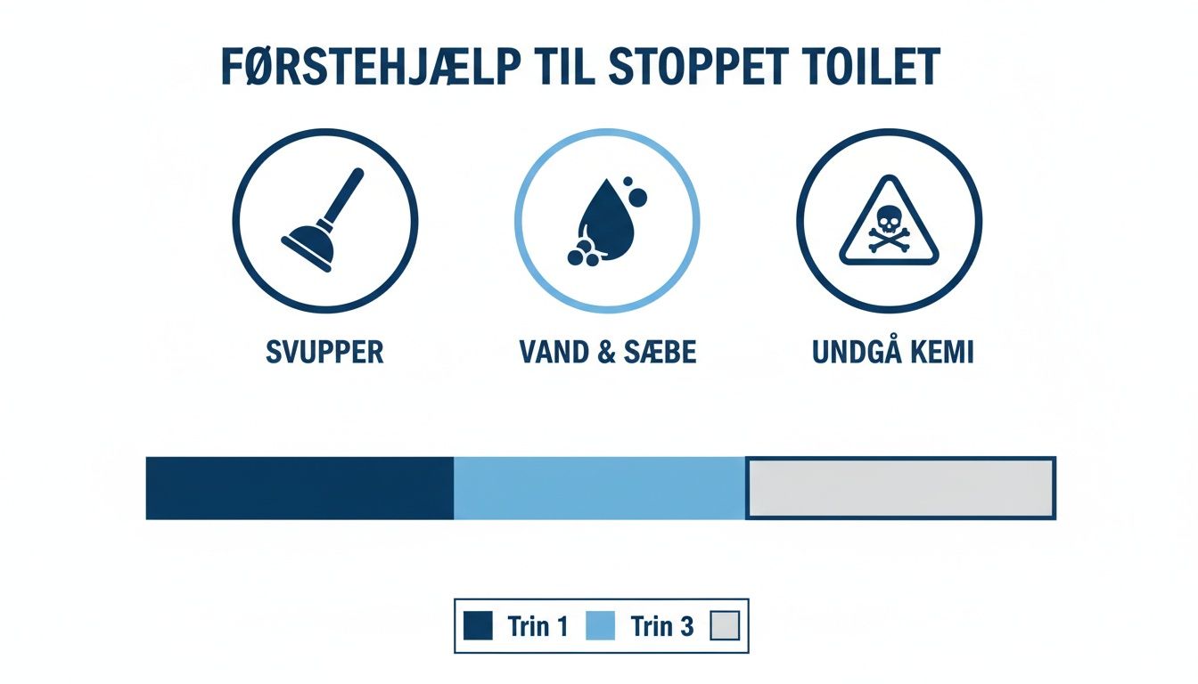 Diagram viser tre trin for førstehjælp til et stoppet toilet: svupper, vand og sæbe, og undgå kemi.