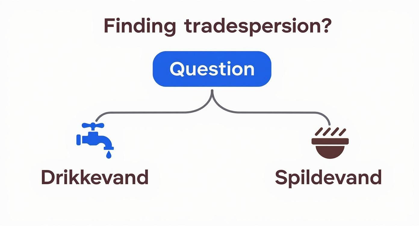 Infographic about Er VVS og kloakmester det samme?
