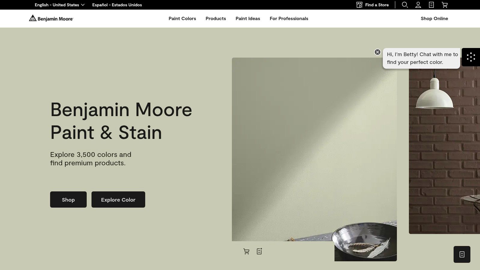 Benjamin Moore ADVANCE: The Pro's Choice for a Flawless Finish