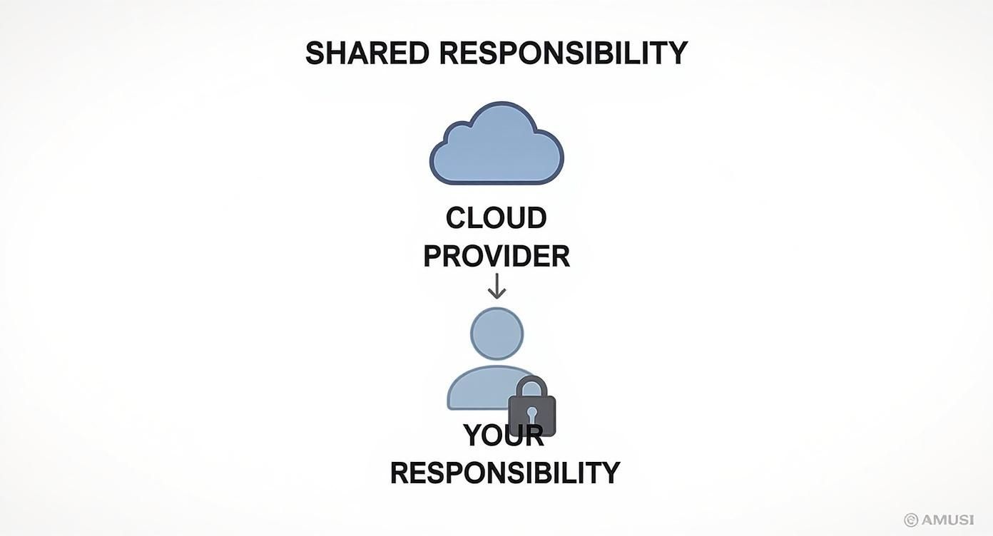 Security Risks of The Cloud: What Every Business Should Know Infographic about security risks of the cloud