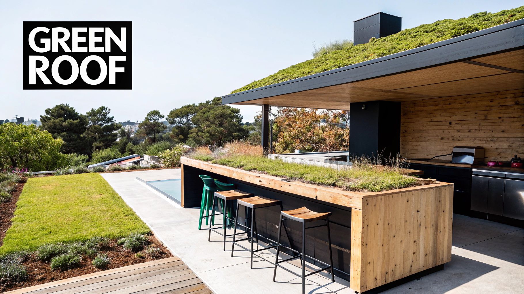 Living Green Roof