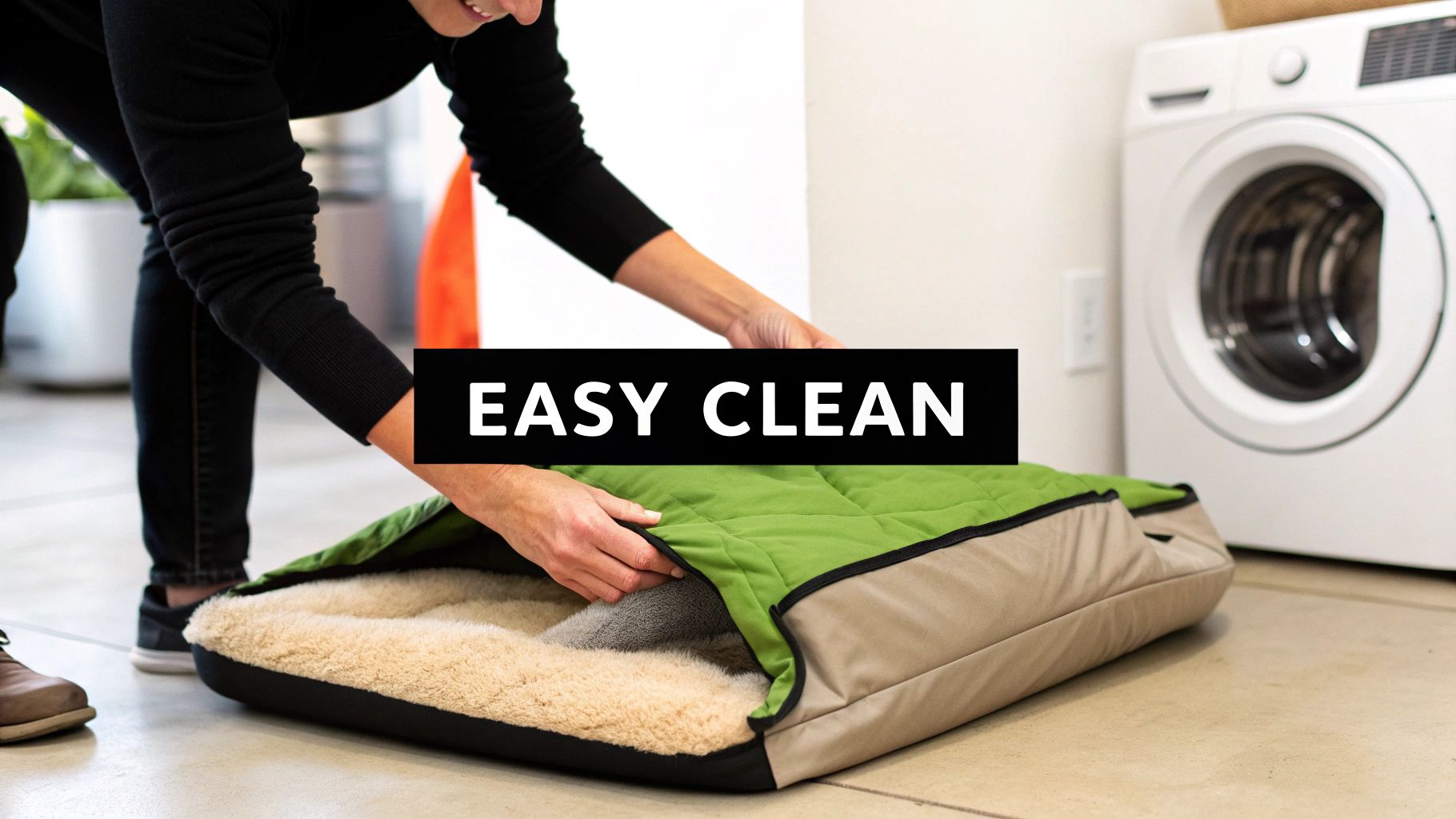 A clean dog bed puppy in a well-lit room.