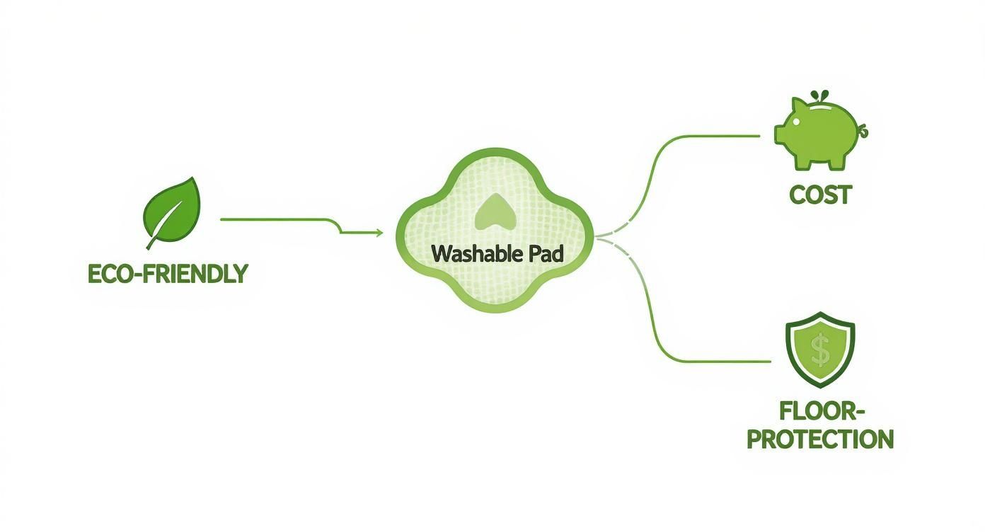 Infographic about dog pee pads washable